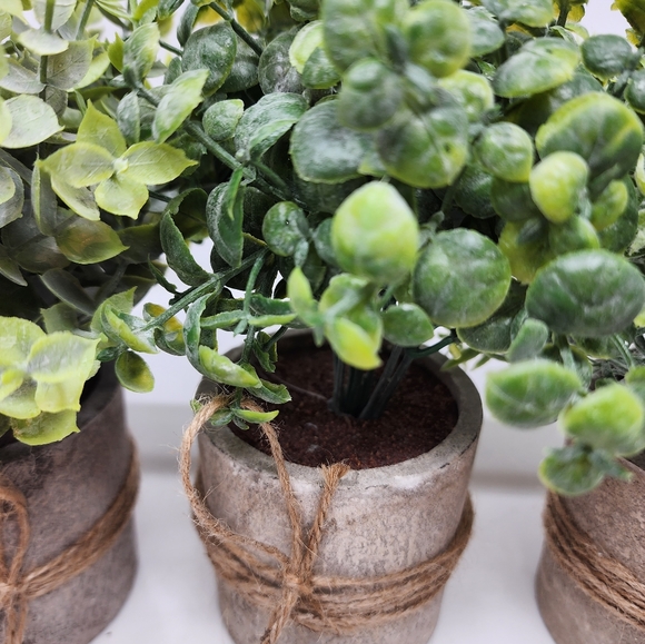 New Faux Succulents Mini Potted Plants Set/3 Faux Frosted Plants in Planters - Picture 8 of 9